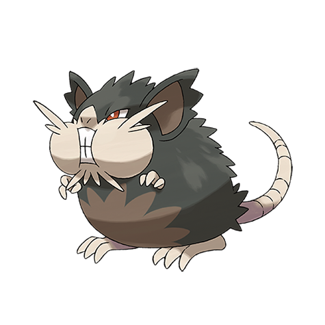 Raticate Alola official artwork