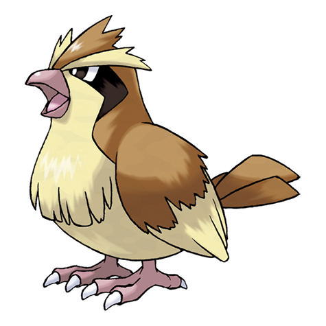 Pidgey official artwork