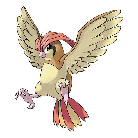Pidgeotto official artwork