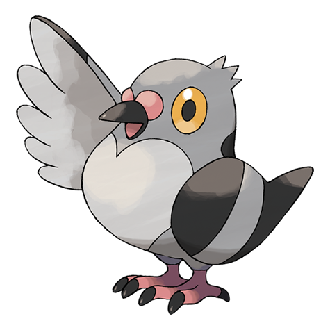 Pidove official artwork