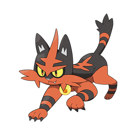 Torracat official artwork