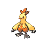 Combusken shiny sprite