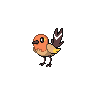Fletchling shiny sprite