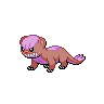 Yungoos shiny sprite